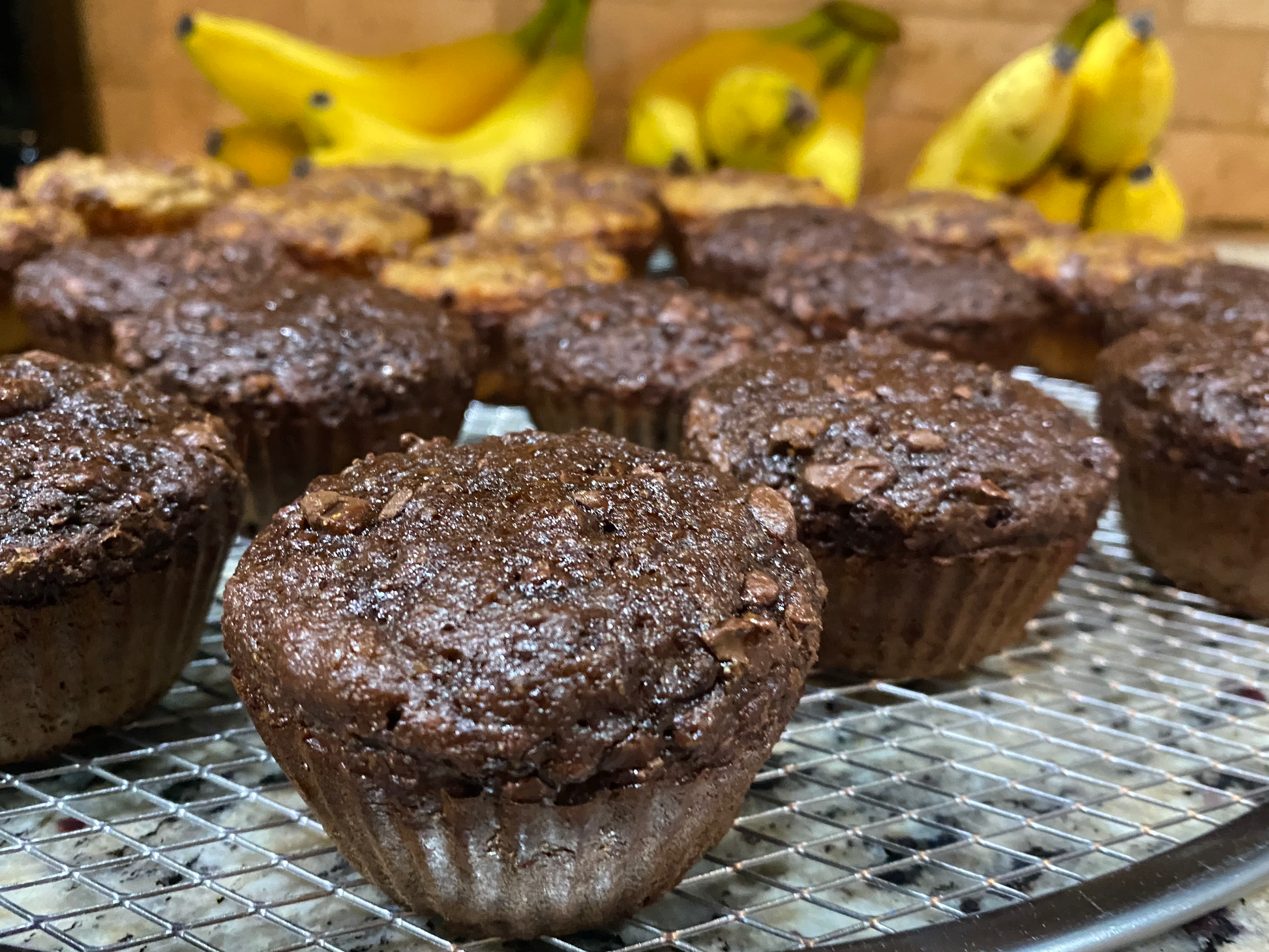 Salted Caramel Protein Muffins Product Image